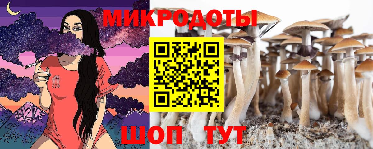 сколько стоит  Галлюциногенные грибы прущие грибы  Сургут  Вход с VPN  Псилоцибиновые грибы мухоморы 